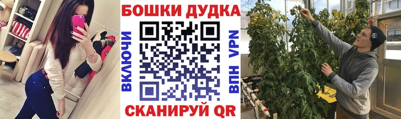 Как найти наркотики Порхов СК  ГЕРОИН  Мефедрон  Гашиш  Бошки Шишки 